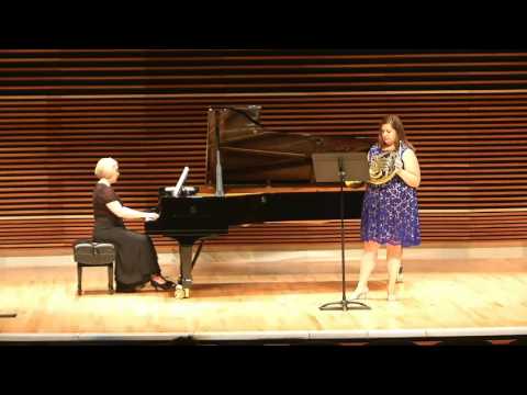 Baadsvik - Ordner Seg (It'll be alright) Horn and piano video preview